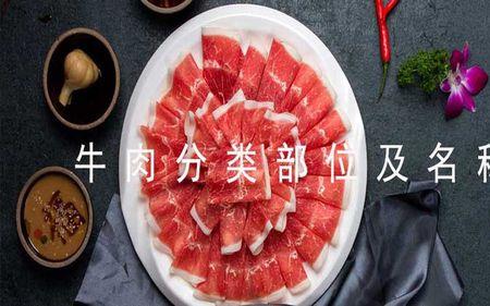 牛三两是什么部位的牛肉