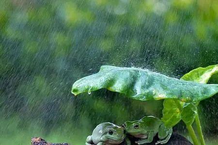 漂泊大雨和大雨漂泊有什么区别