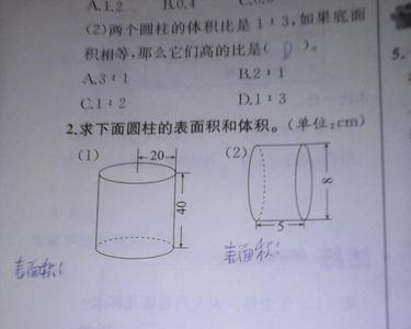 外表面积什么意思