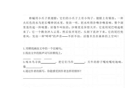 最美的南瓜花灯阅读短文答案