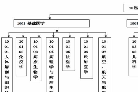 医学图像处理研究生就业去向