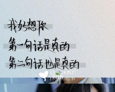 前程似锦扶摇直上是什么意思