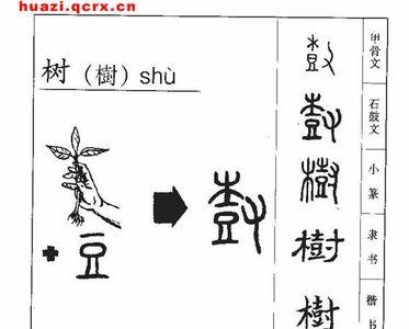 两个木字部首一样的字词