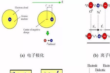 电介质极化有哪些基本形式