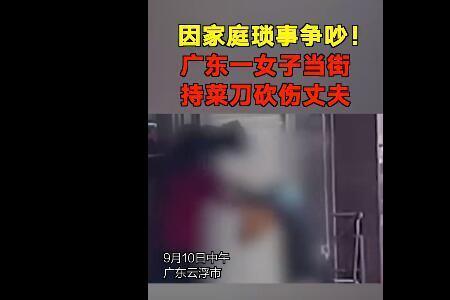 家庭琐事的意思