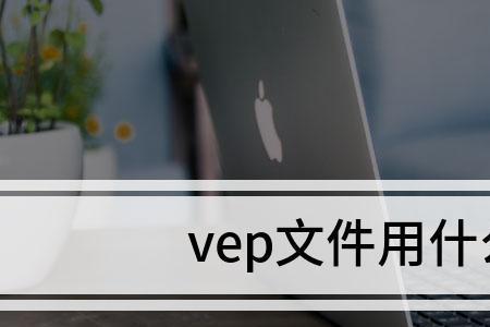 vep是什么类型的文件