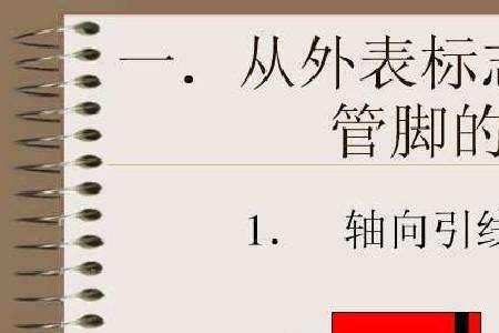 正极区是阳极区吗