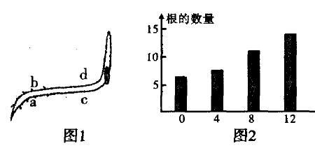 生长类似物