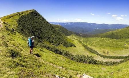 高高的山岗是什么意思