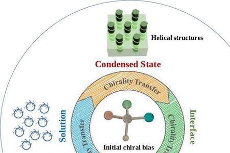 手性的含义