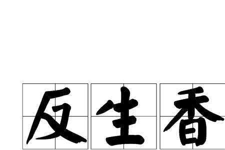 死人一般点几柱香