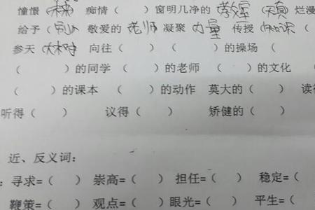 荡漾与什么词语搭配