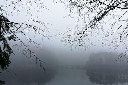 空气氤氲是什么意思