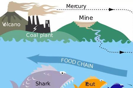 水中的汞哪里来
