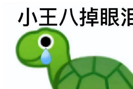 乌龟离家出走 歇后语