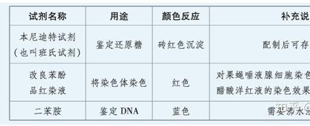 醋酸洋红的染色原理