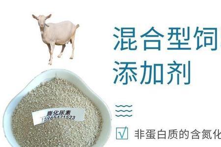 什么叫单细胞蛋白饲料