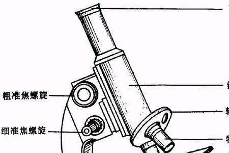 显微镜的反光镜有什么作用