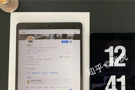 ipad参考模式是什么