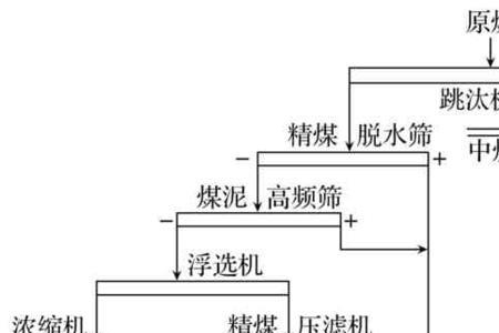 精煤里为什么不能加水