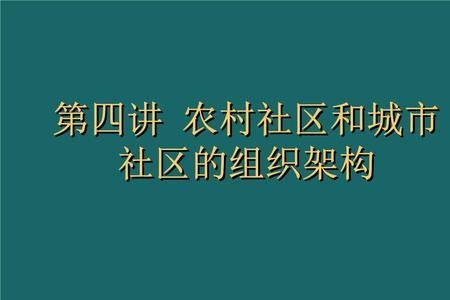 村一级班子组织架构