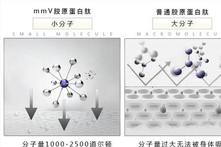 复合白蛋白肽是什么