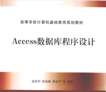 access具备程序设计能力吗