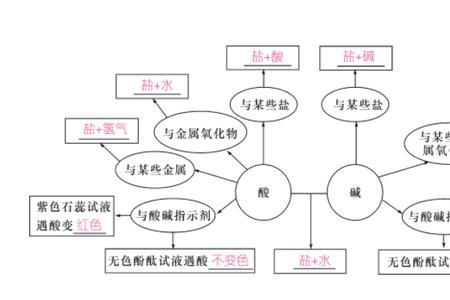 盐和碱的区别