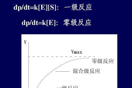 什么是半衰期