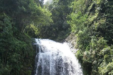 冷水坑瀑布门票