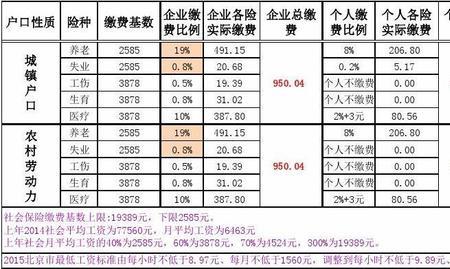 社保单保和双保是什么意思