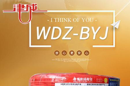 wdz-byj是什么电线