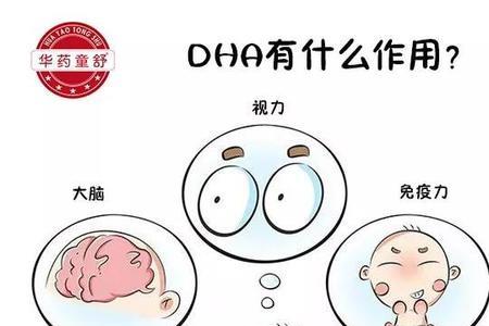 什么是DHA