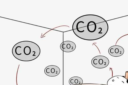 二氧化碳使什么变成灰绿色