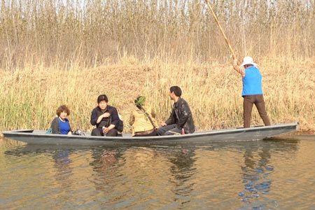 马踏湖因何得名