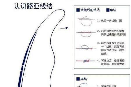 路亚04pe主线配多大前导线