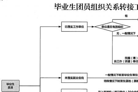 团员的组织名是什么