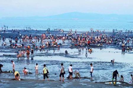 赶海去鸽子窝还是海天一色