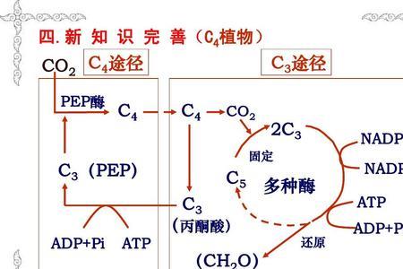 固氮的三种途径及方程式