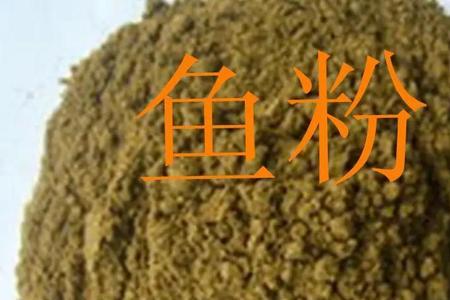 1斤鱼粉替代多少豆粕