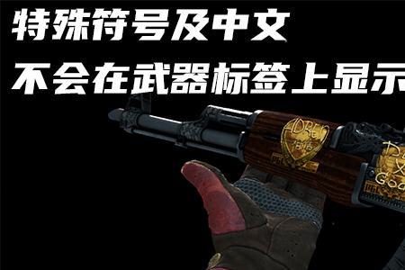 csgo改名武器标签不能改汉字吗