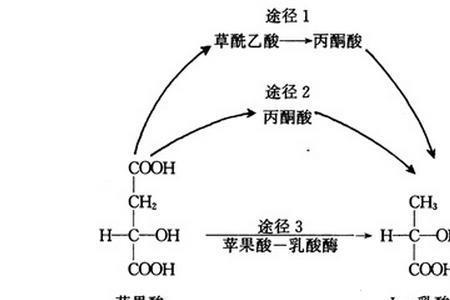 苹果酸耐高温吗