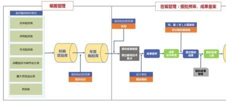 统筹管理是什么意