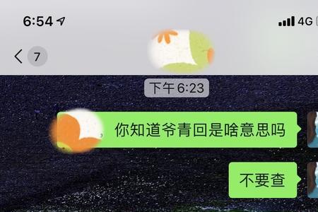 表爷什么意思