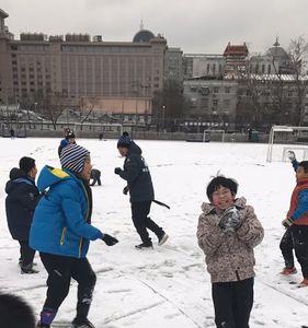 雪仗是什么意思