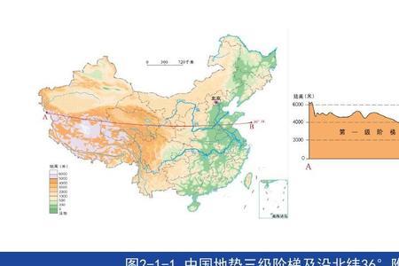 森林地势特征