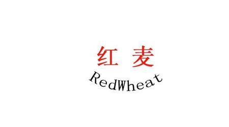 RED公司介绍