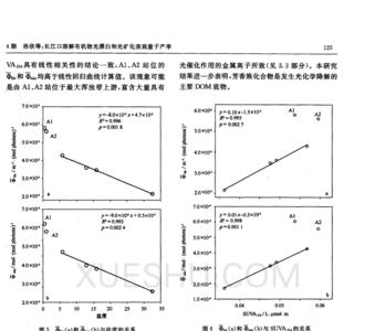 平衡产率怎么计算