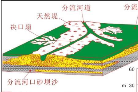 鸟足状三角洲形成过程