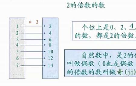 8的倍数包括8吗